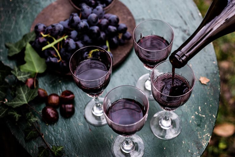 gastro-crno-vino-optimizirano-za-web-maja-danica-pecanic-2.jpg